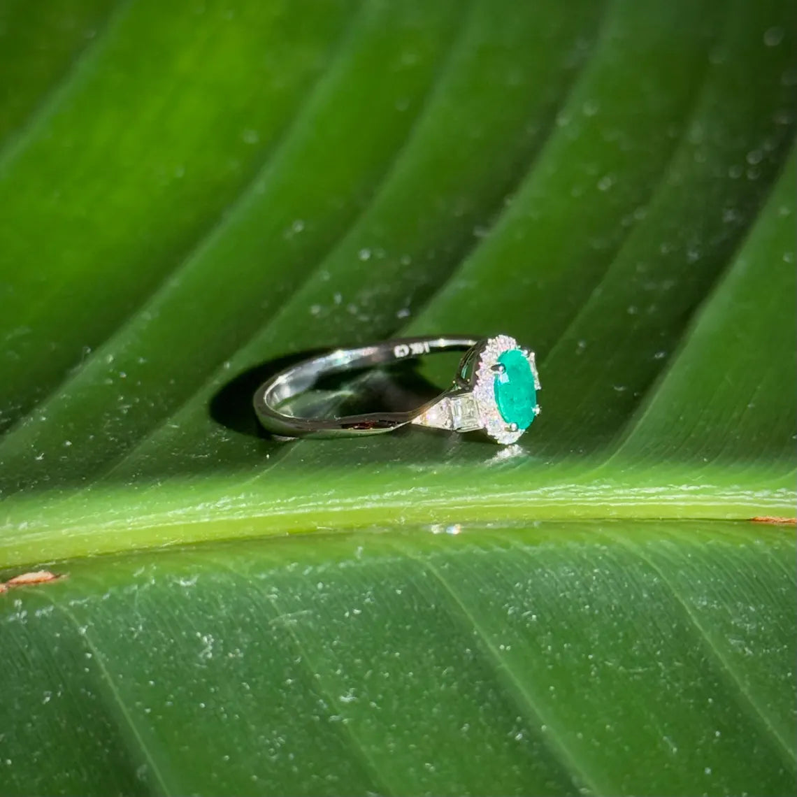 Classy Emerald Diamond Ring in 14k White Gold