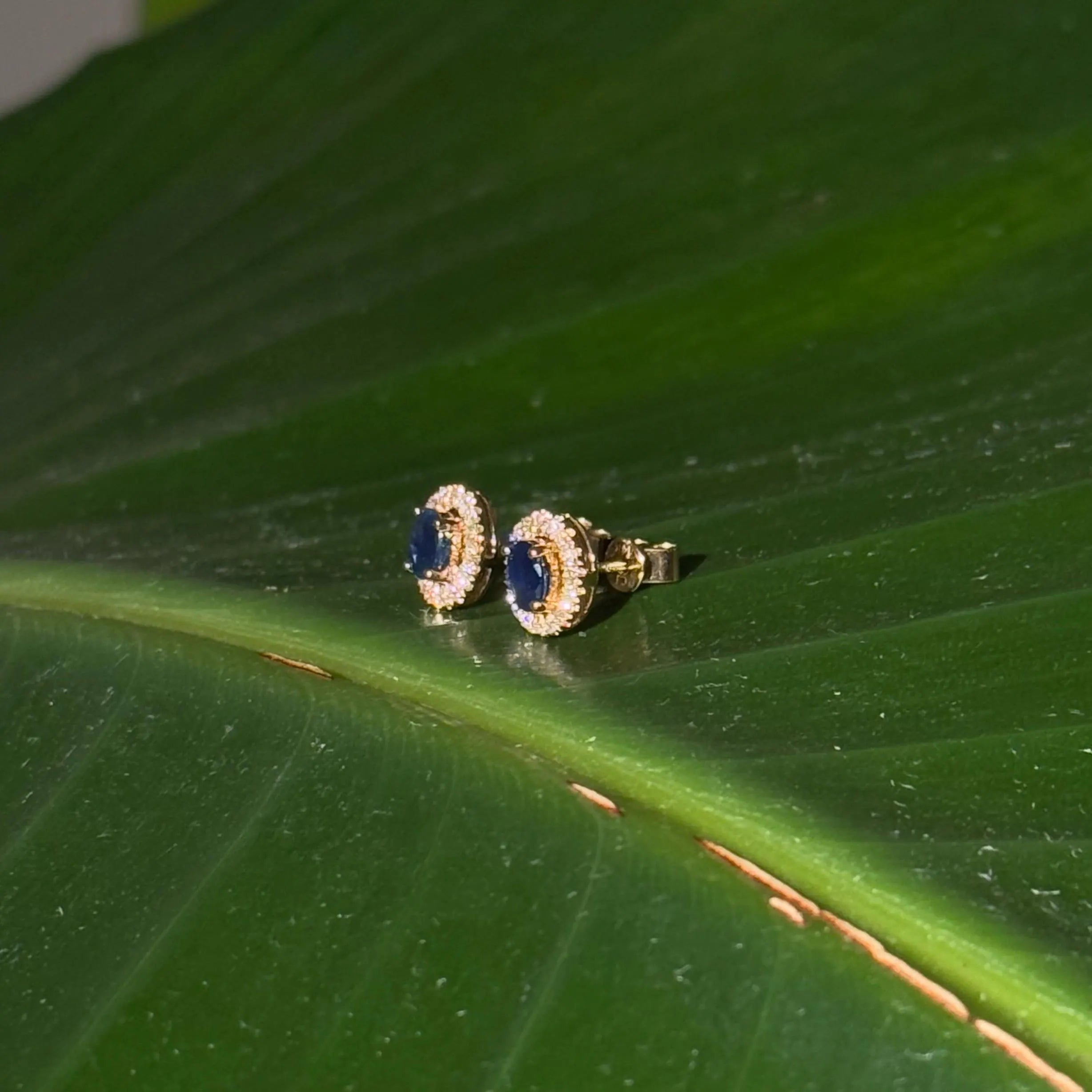 Sapphire Diamond Halo Stud Earrings in 14k Yellow Gold