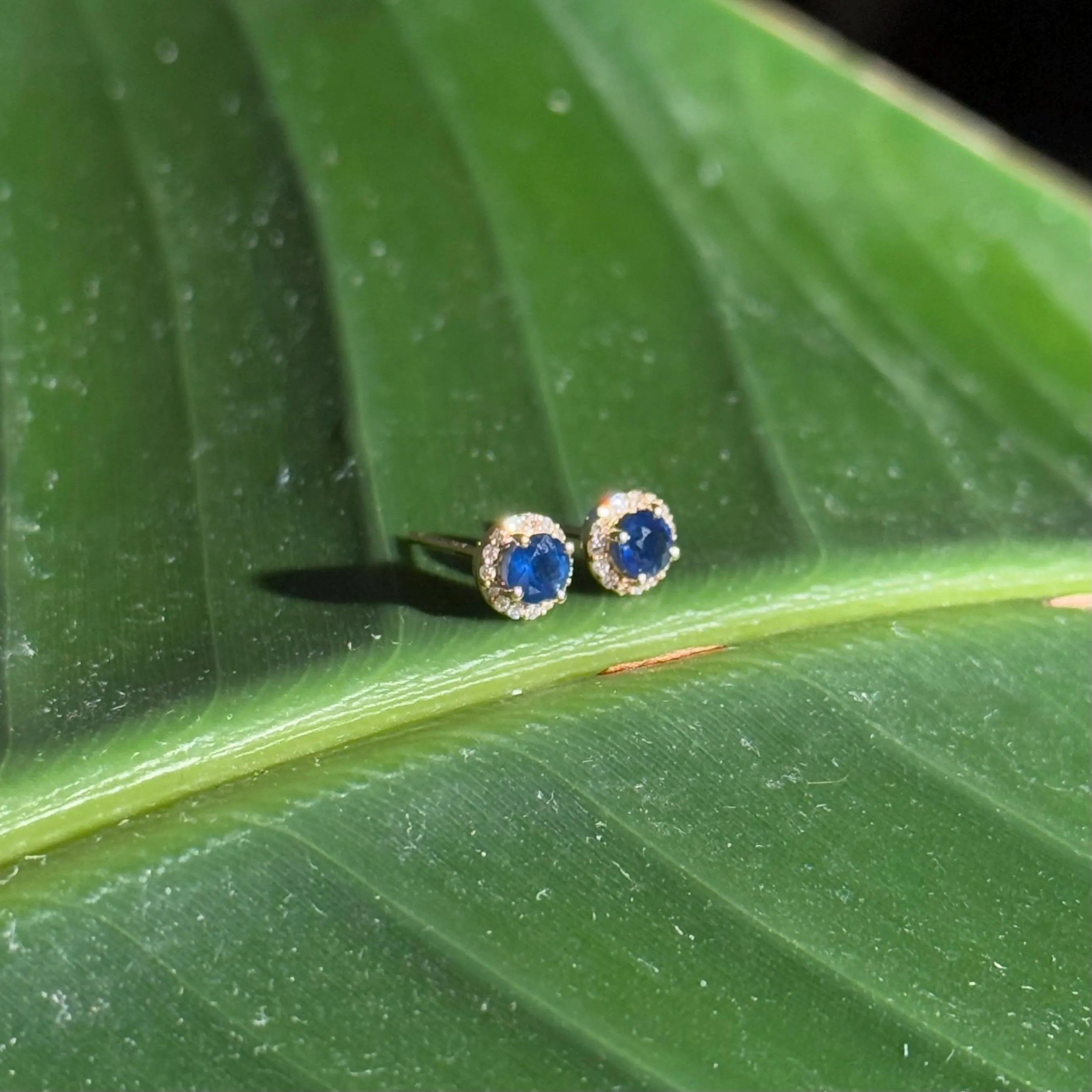 Sapphire Diamond Halo Stud Earrings in 14k Yellow Gold