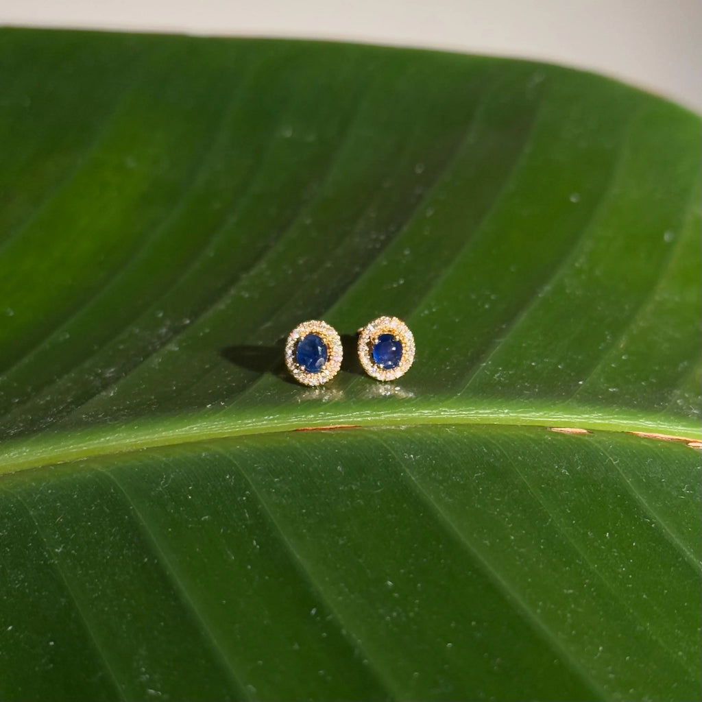 Sapphire Diamond Halo Stud Earrings in 14k Yellow Gold