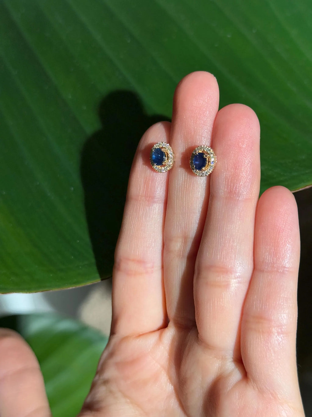 Sapphire Diamond Halo Stud Earrings in 14k Yellow Gold