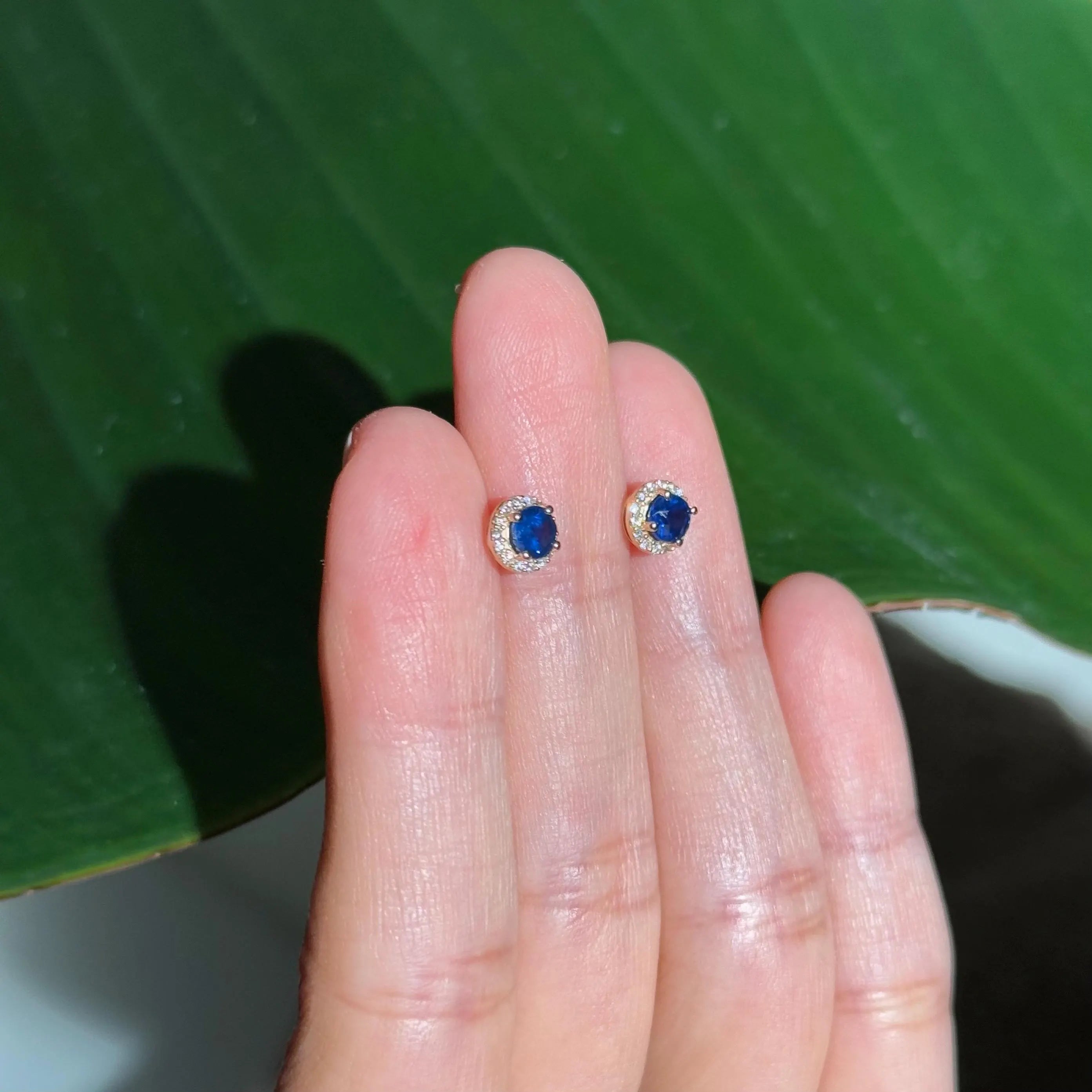 Sapphire Diamond Halo Stud Earrings in 14k Yellow Gold