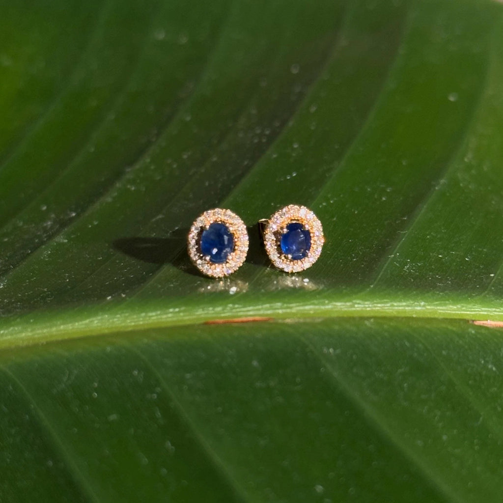 Sapphire Diamond Halo Stud Earrings in 14k Yellow Gold