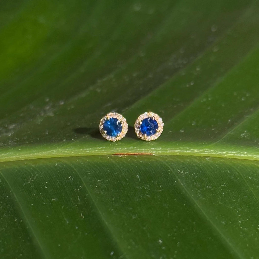 Sapphire Diamond Halo Stud Earrings in 14k Yellow Gold