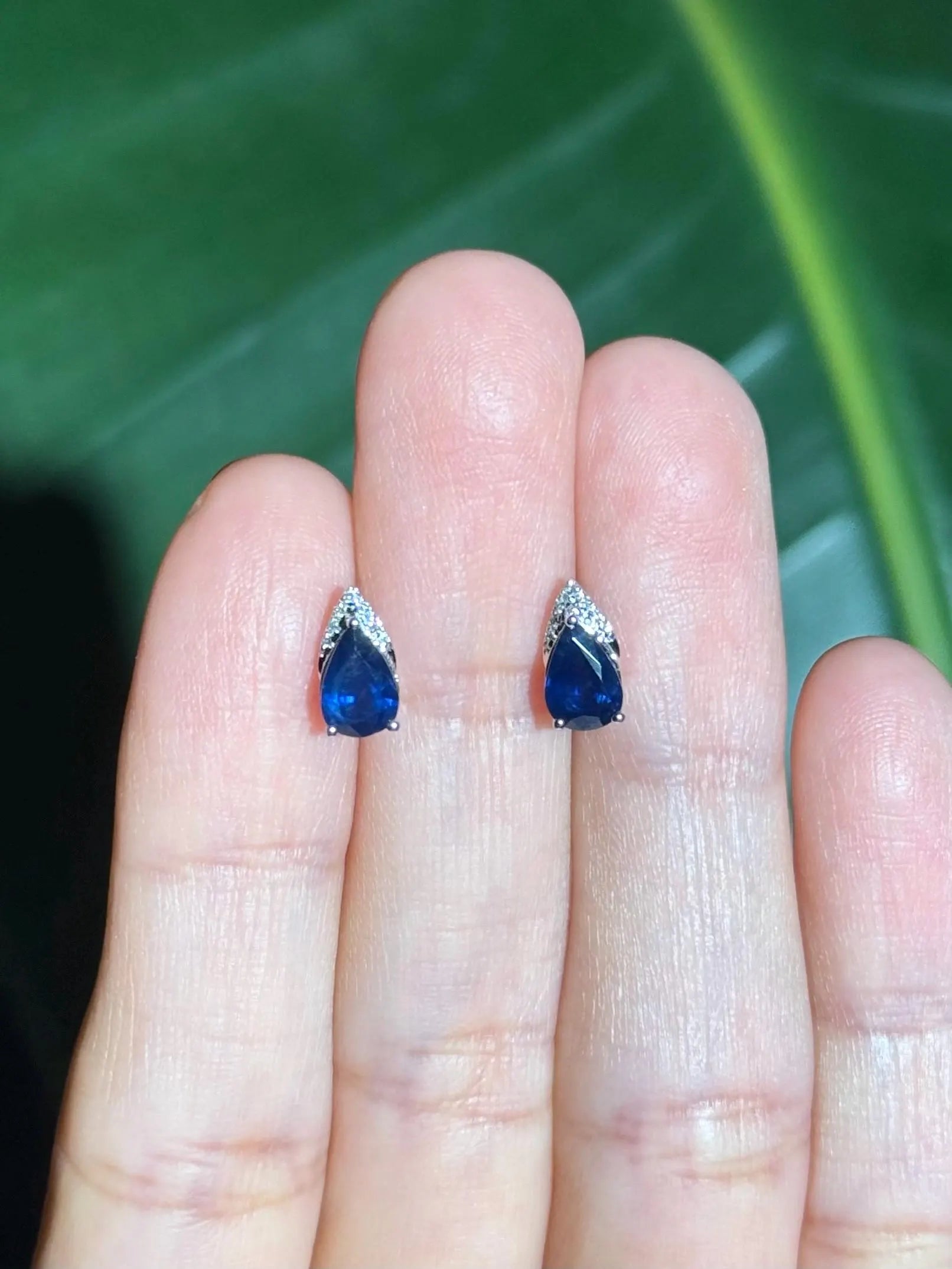 Diamond Sapphire Stud Earrings in 14k White Gold
