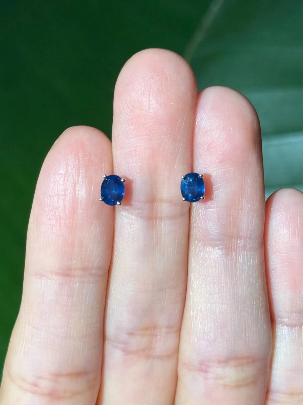 Oval Sapphire Stud Earrings in 14k White Gold