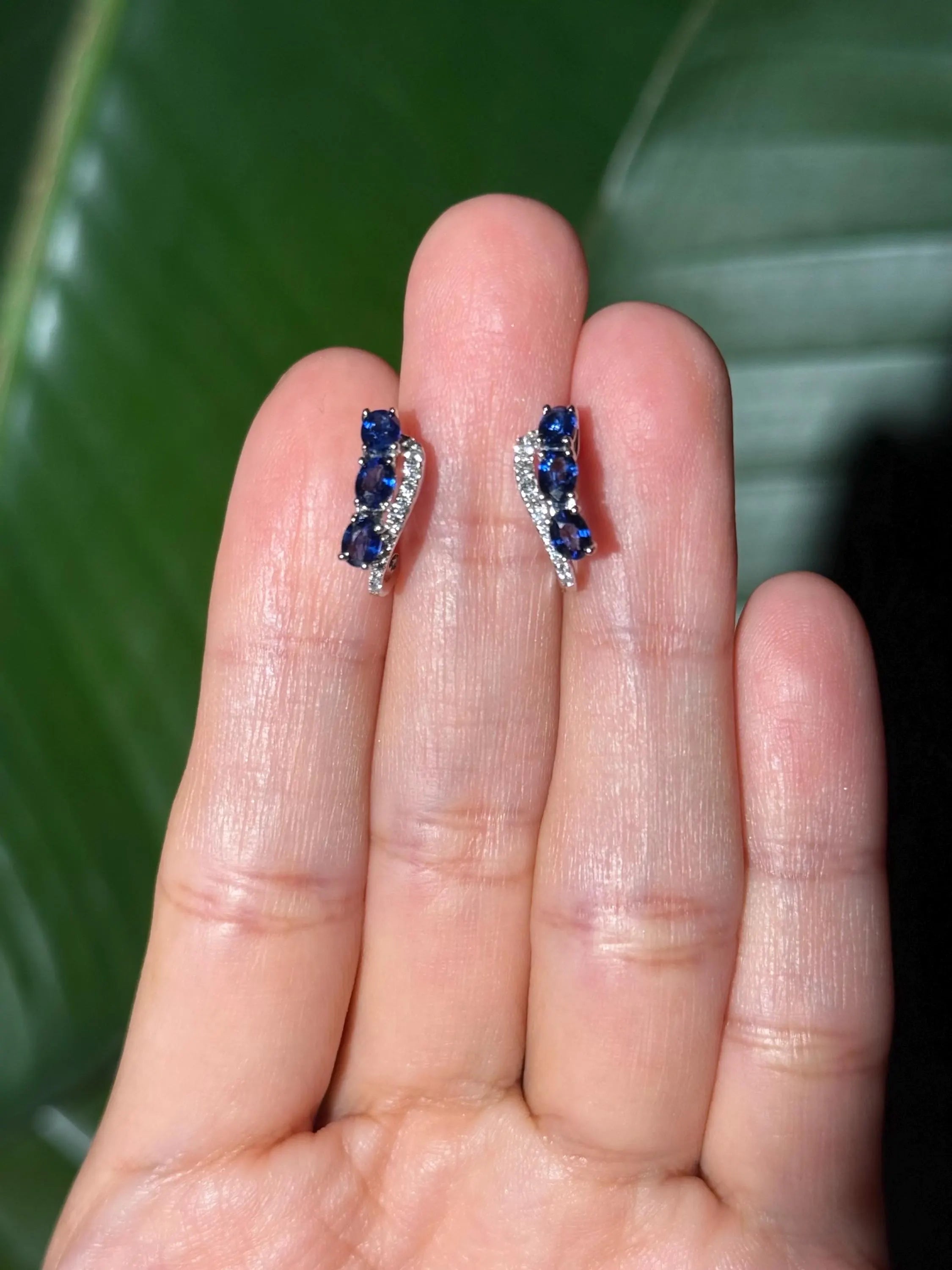 Diamond Sapphire Earrings in 14k White Gold