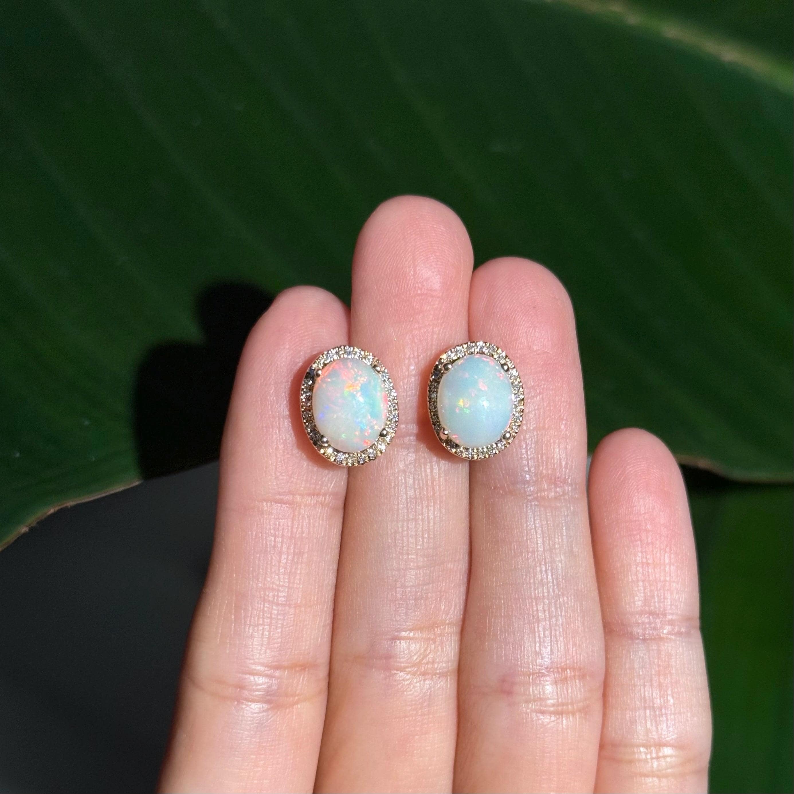 Opal Diamond Stud Earrings in 14k Yellow Gold
